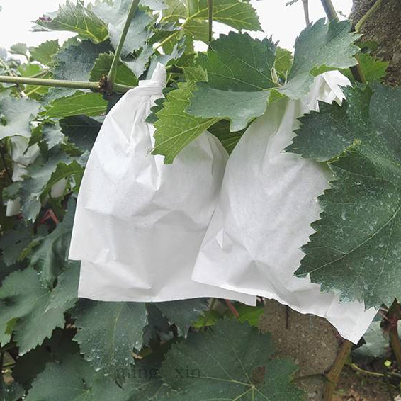 Tree Covering Bags