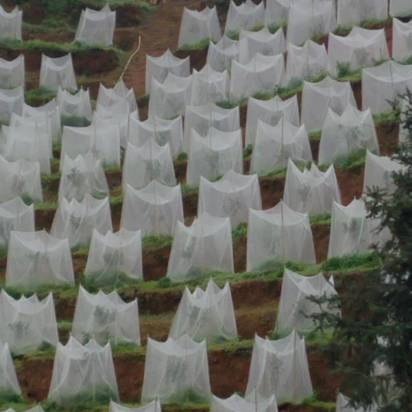Tree Covering Bags