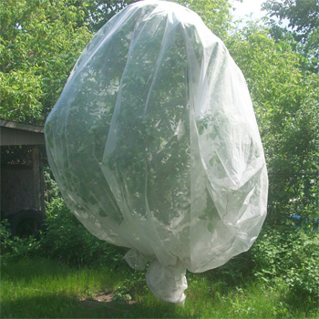 Tree Covering Bags