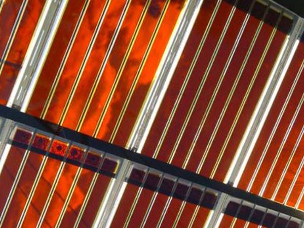 A detail of dye-sensitized solar cell.